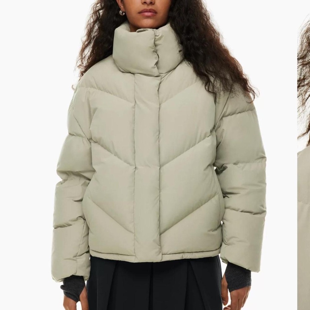 NWOT Aritzia Cloud Puff Jacket